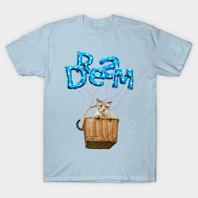 Dream (Blue Background) T-Shirt by leBoosh-Designs